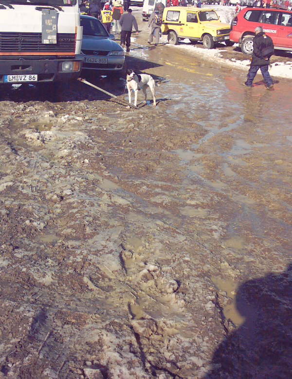 IMAGE0001
