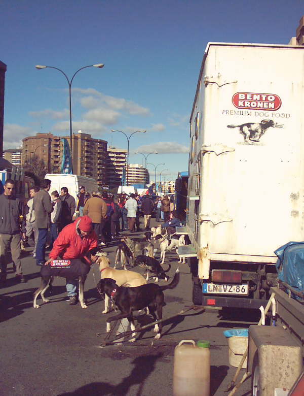 IMAGE0001
