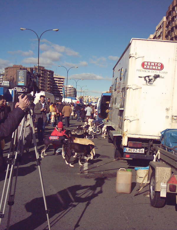 IMAGE0002