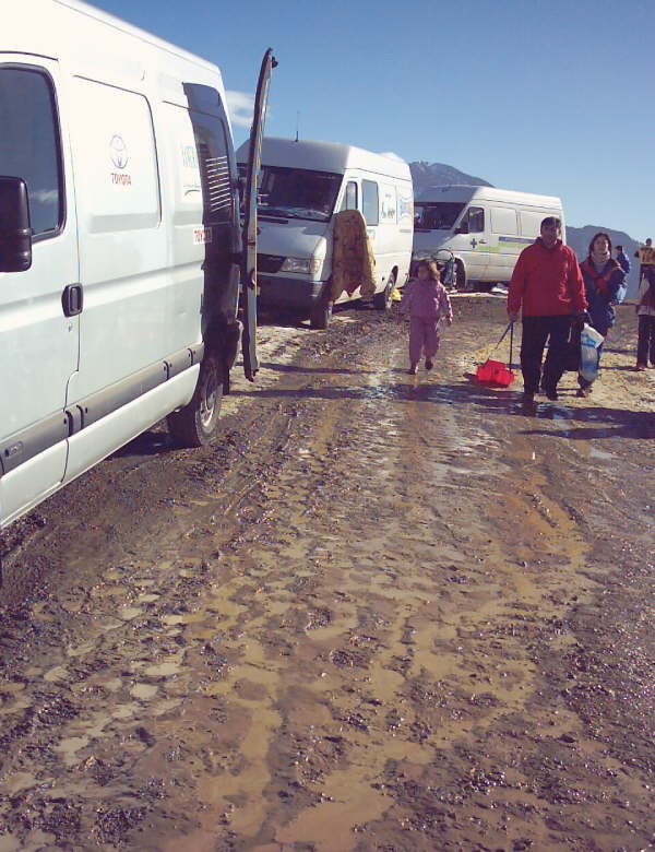 IMAGE0003